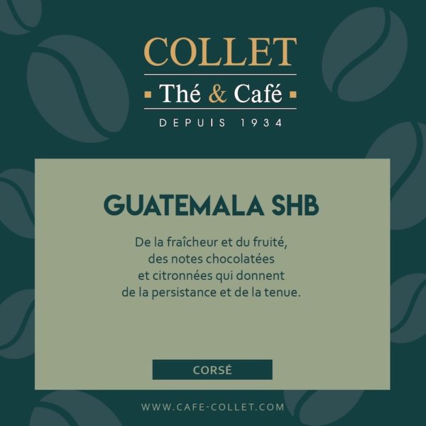 Café GUATEMALA SHB