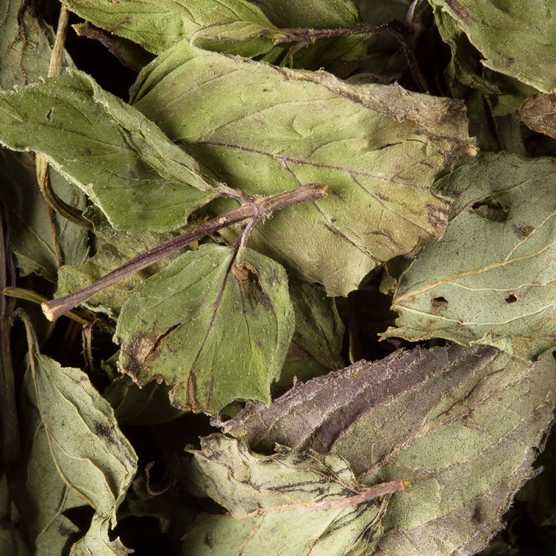 Dammann Frères - Tisane Menthe Poivree, 25 sachets de thé - Infusion  d'herbes